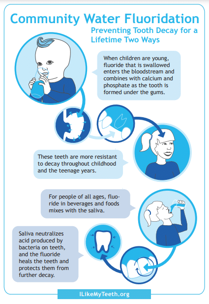 Community Water Fluoridation flyer (water fluoridation helps strengthen and protect teeth from decay) - links to PDF file