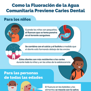 Infografia: Como la Fluoración de la Agua Comunitaria Previene Caries Dental
